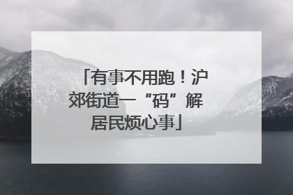 有事不用跑！沪郊街道一“码”解居民烦心事