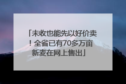未收也能先以好价卖！全省已有70多万亩新麦在网上售出