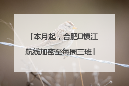 本月起，合肥⇋镇江航线加密至每周三班