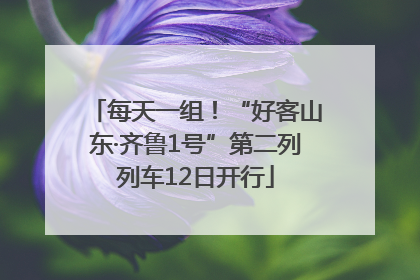 每天一组！“好客山东·齐鲁1号”第二列列车12日开行