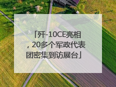歼-10CE亮相，20多个军政代表团密集到访展台