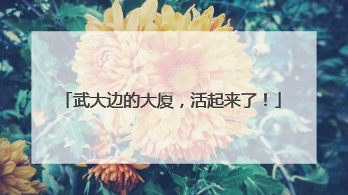武大边的大厦，活起来了！