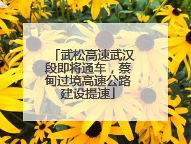 武松高速武汉段即将通车，蔡甸过境高速公路建设提速
