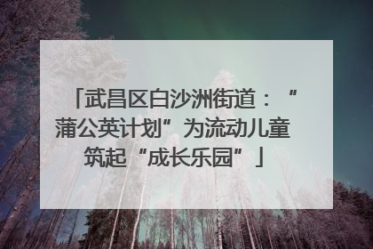 武昌区白沙洲街道：“蒲公英计划”为流动儿童筑起“成长乐园”
