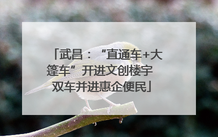 武昌：“直通车+大篷车”开进文创楼宇 双车并进惠企便民