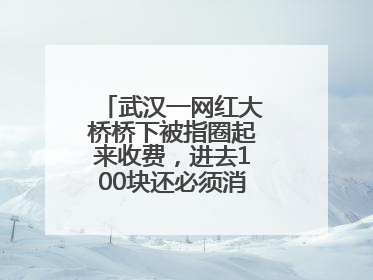 武汉一网红大桥桥下被指圈起来收费，进去100块还必须消费？当地回应