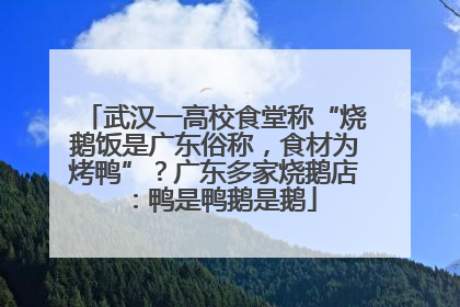 武汉一高校食堂称“烧鹅饭是广东俗称，食材为烤鸭”？广东多家烧鹅店：鸭是鸭鹅是鹅
