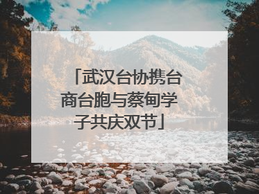 武汉台协携台商台胞与蔡甸学子共庆双节