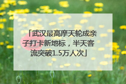 武汉最高摩天轮成亲子打卡新地标，半天客流突破1.5万人次