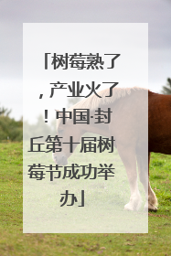 树莓熟了，产业火了！中国·封丘第十届树莓节成功举办