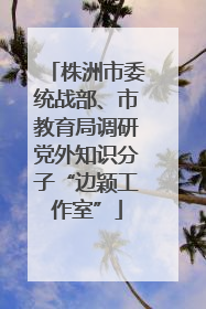 株洲市委统战部、市教育局调研党外知识分子“边颖工作室”