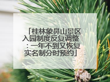 桂林象鼻山景区入园制度反复调整：一年不到又恢复实名制分时预约