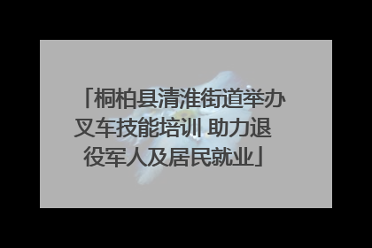 桐柏县清淮街道举办叉车技能培训 助力退役军人及居民就业
