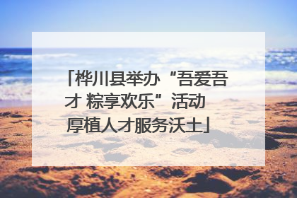 桦川县举办“吾爱吾才 粽享欢乐”活动 厚植人才服务沃土