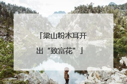梁山粉木耳开出“致富花”