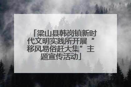 梁山县韩岗镇新时代文明实践所开展“移风易俗赶大集”主题宣传活动