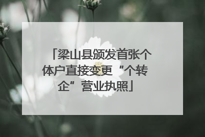 梁山县颁发首张个体户直接变更“个转企”营业执照