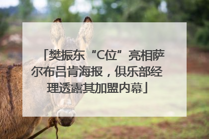 樊振东“C位”亮相萨尔布吕肯海报，俱乐部经理透露其加盟内幕