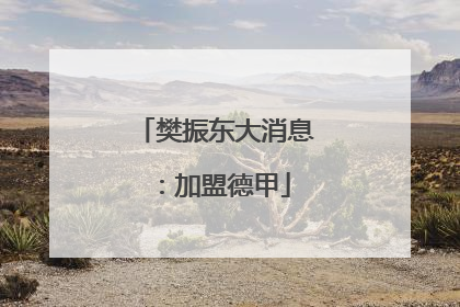 樊振东大消息：加盟德甲