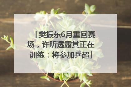 樊振东6月重回赛场，许昕透露其正在训练：将参加乒超