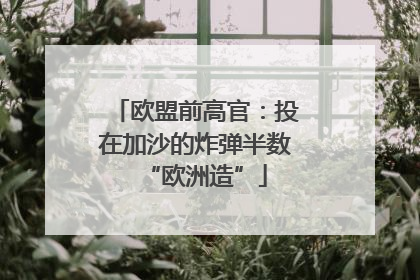欧盟前高官：投在加沙的炸弹半数“欧洲造”