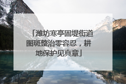 潍坊寒亭固堤街道图斑整治零容忍，耕地保护见真章