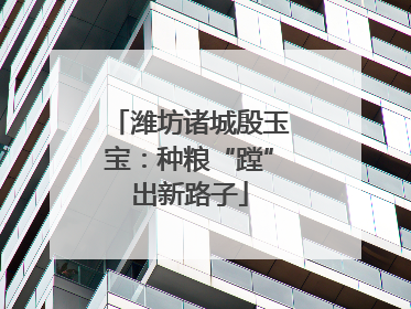 潍坊诸城殷玉宝：种粮“蹚”出新路子