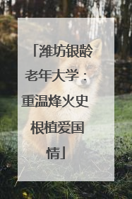 潍坊银龄老年大学：重温烽火史 根植爱国情