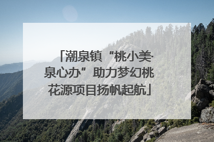 潮泉镇“桃小美·泉心办”助力梦幻桃花源项目扬帆起航