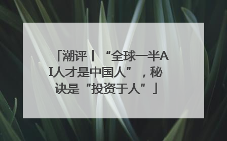 潮评丨“全球一半AI人才是中国人”，秘诀是“投资于人”