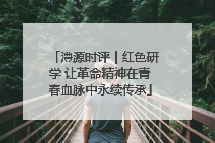 澧源时评｜红色研学 让革命精神在青春血脉中永续传承