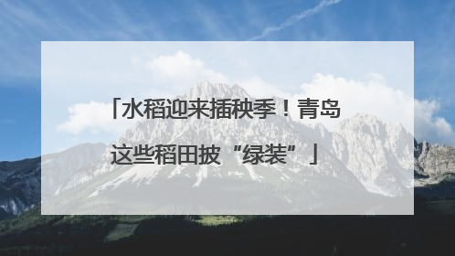 水稻迎来插秧季！青岛这些稻田披“绿装”