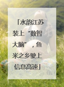 水韵江苏装上“数智大脑”，鱼米之乡驶上信息高速