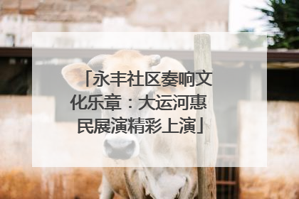 永丰社区奏响文化乐章：大运河惠民展演精彩上演