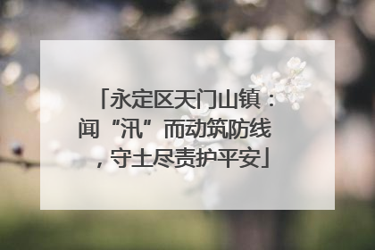 永定区天门山镇：闻“汛”而动筑防线，守土尽责护平安