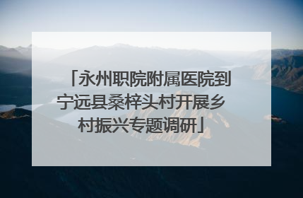 永州职院附属医院到宁远县桑梓头村开展乡村振兴专题调研