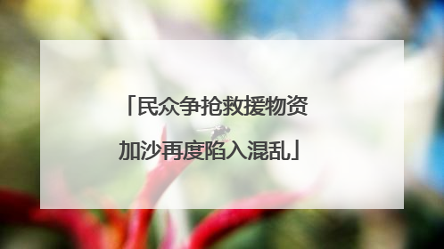 民众争抢救援物资 加沙再度陷入混乱