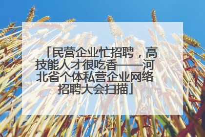 民营企业忙招聘，高技能人才很吃香——河北省个体私营企业网络招聘大会扫描