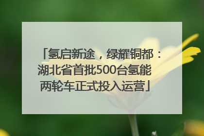 氢启新途，绿耀铜都：湖北省首批500台氢能两轮车正式投入运营