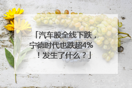 汽车股全线下跌，宁德时代也跌超4%！发生了什么？