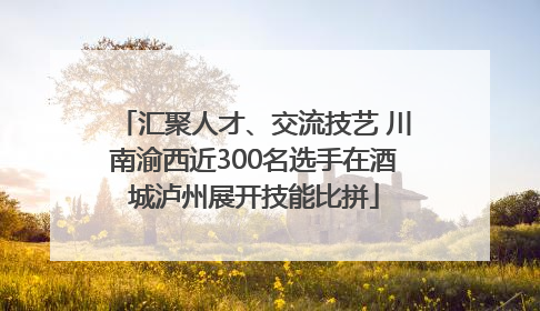 汇聚人才、交流技艺 川南渝西近300名选手在酒城泸州展开技能比拼