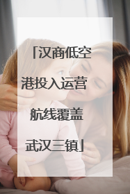 汉商低空港投入运营 航线覆盖武汉三镇