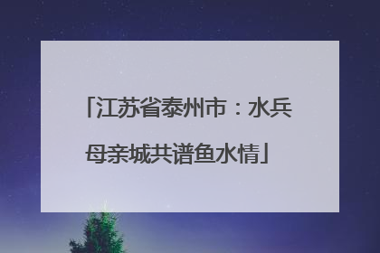 江苏省泰州市：水兵母亲城共谱鱼水情