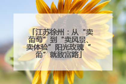 江苏徐州：从“卖葡萄”到“卖风景、卖体验”阳光玫瑰“葡”就致富路