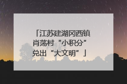 江苏建湖冈西镇肖荡村“小积分”兑出“大文明”