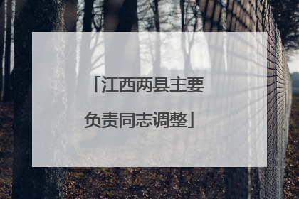 江西两县主要负责同志调整