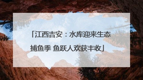 江西吉安：水库迎来生态捕鱼季 鱼跃人欢获丰收