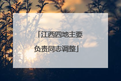 江西四地主要负责同志调整