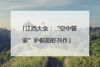 江西大余：“空中管家”护航稻虾共作
