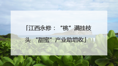 江西永修：“桃”满挂枝头 “甜蜜”产业助增收